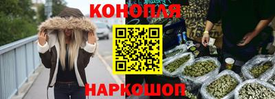 стафф Ставрополь