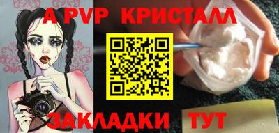 стафф Ставрополь