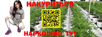 индика Среднеуральск