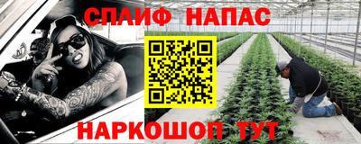 стафф Ставрополь